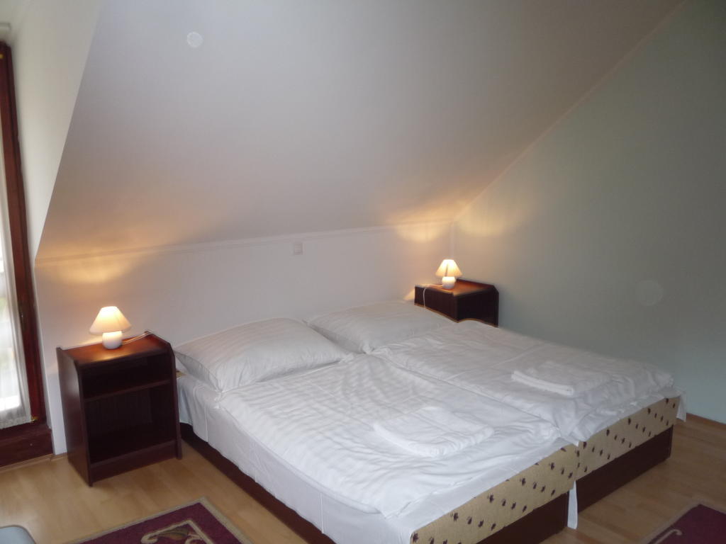 Aba Vezer Vendeghaz Hotel Abaújszántó Ruang foto